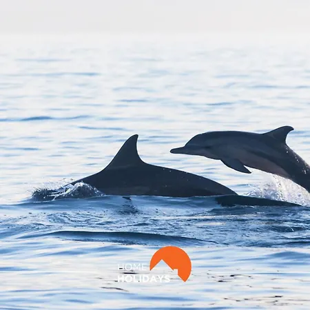 דירה #051 Areias Sao Joao By Holidays *